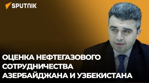 Баку и Ташкент будут сотрудничать в нефтегазовой сфере?