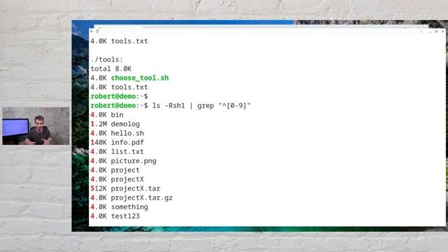 Linux One Liner Of The Day: The largest file in a directory-tree смотреть онлайн