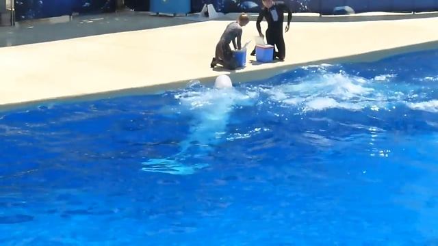 Аквапарк, Турция , Кунду...очень интересно провели время ) смотреть онлайн