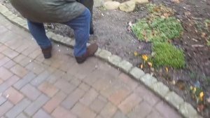 В Гости к моей Маме // Север это моя судьба //