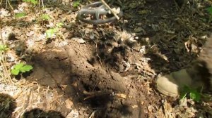 XP Deus 28 WS4: Обзор, настройки и коп от владельца Жени (Кладоискатели-Украина) / Проф-Искатель