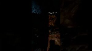 Обзор дома: Липецкий район, село Крутогорье