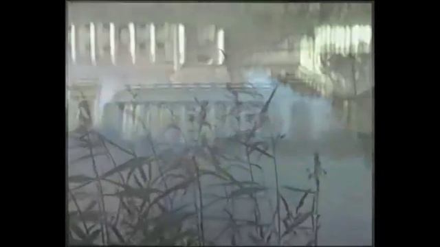 Максим Трошин ~ Ты Не Пой, Соловей смотреть онлайн