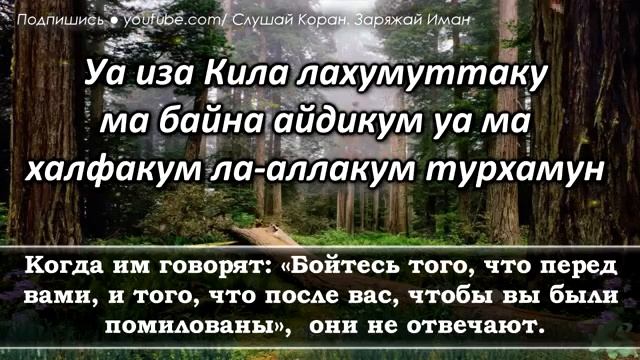 Сура Ясин смотреть онлайн