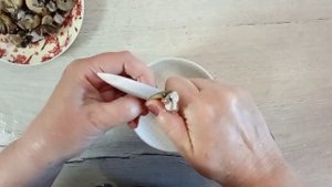 Эскарго . Виноградные улитки в сливках .Улитки по бургундски  ?Готовлю и дегустирую