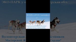 ЭКОПАРК-история-идея-отзывы участников-волонтеров-rtube