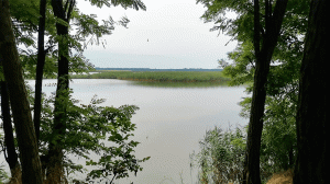 Отдых у реки | Наедине с природой №1