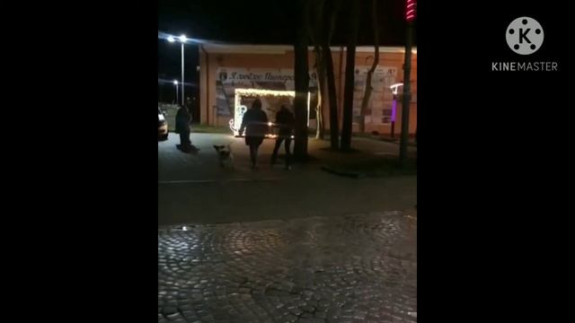 Новогодний Пионерский Курорт. Калининградская область.