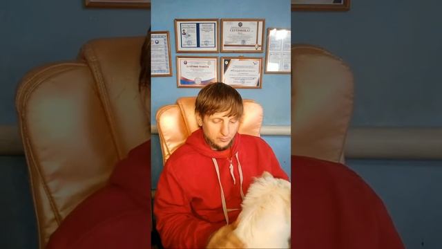 Когда болеют без боли, (старость, слабость). смотреть онлайн