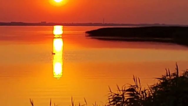 Стихи: Николая Наумова "Я вижу наш завтрашний день" смотреть онлайн