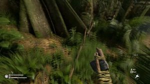 Основы выживания в игре Green hell: Как сохраняться, где добыть воду и трут?