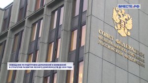 Поправки в Стратегию развития лесного кодекса. По сути дела