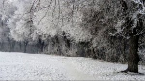 Апокалипсно -  мистическая сказка в городе Кемерово