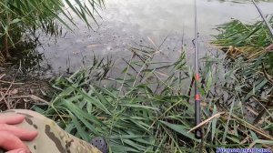 Первая рыбалка осени на карася!