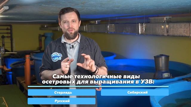 Видео БИЗНЕС ПЛАН осетровой ФЕРМЫ УЗВ на 25 ТОНН В ГОД | Почему РЫБОВОДСТВО ЭТО ПРИБЫЛЬНЫЙ БИЗНЕС?