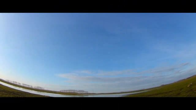 В поисках гуся смотреть онлайн