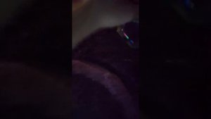 куми куми мани мани мультик но немножко кривовато