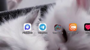 ?КАК ОБНОВИТЬ ТОКА  БОКА 1,77 ЧТОБЫ ВСЁ ОСТАЛОСЬ НА СВОИХ МЕСТАХ⭐//Toca World//?