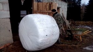 открываем сенаж спустя три месяца