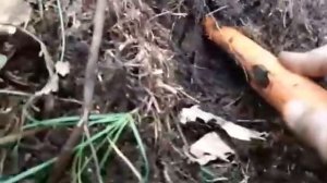 Находки в Приморском крае по Древнему Китаю. Чжурчжэньские  украшения. 发现在中国古代滨海边疆区。 Jurchen珠宝.