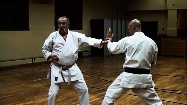 Урок 10 Удар цзуки с отходом в сторону смотреть онлайн