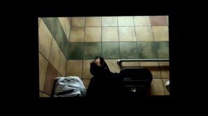 “Daisy’s Destruction”