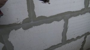 Друзья Фазанов больше НЕТ Беда