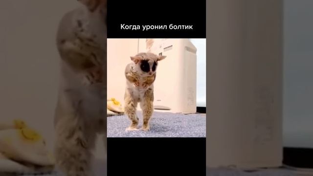 Когда уронил болтик