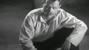 Василь Иваныч, а ты армией командывать могешь?