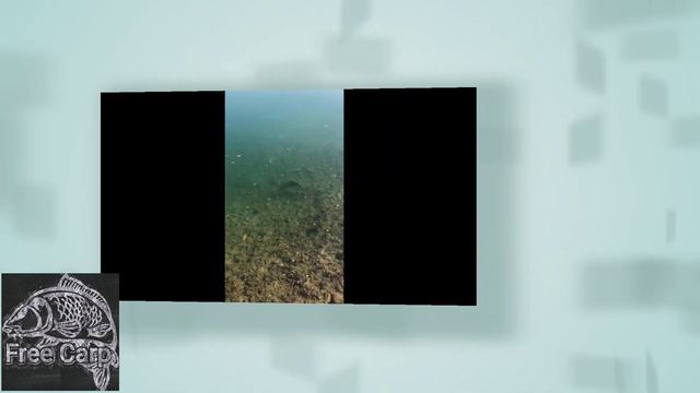 Повадки карпа))) Подводная съёмка прикормочного места смотреть онлайн
