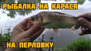 Рыбалка на КАРАСЯ на ПЕРЛОВКУ | Рыбалка на донки | Рыбалка в дождь