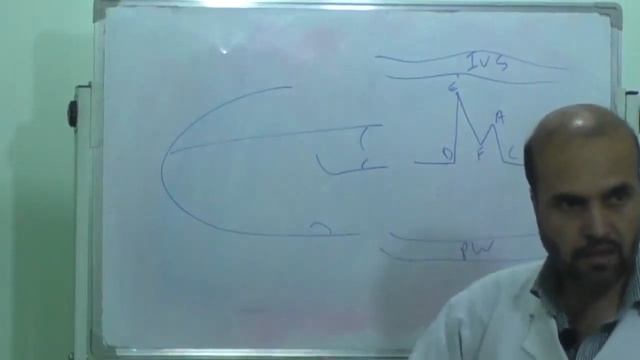 Sahak Echocardiography Lecture Dilated Cardiomyopathy 49 смотреть онлайн