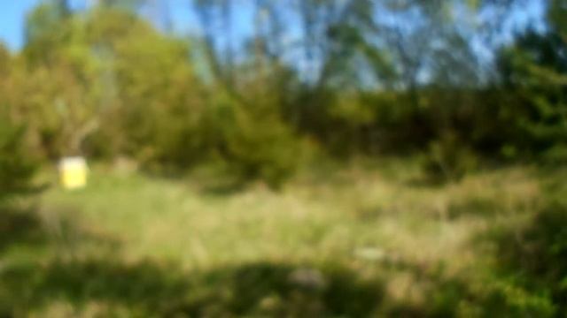 Цветение алычи,черешни,груши,яблонь смотреть онлайн