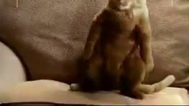 Майкл Джексон жив смотреть онлайн