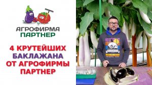 4 КРУТЕЙШИХ БАКЛАЖАНА ОТ АГРОФИРМЫ ПАРТНЕР