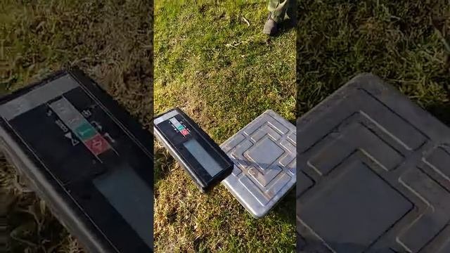 Зарыбление клубом Carpfishing39