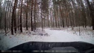 Очень важно! Правила охоты. Пристрелка оружия.