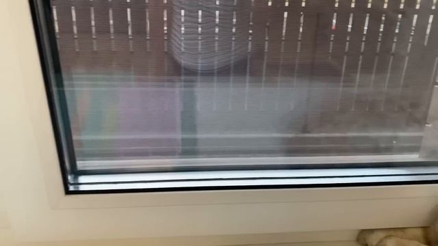 Перчик?Альбом❤️Годовщина 17 лет?Клубника? смотреть онлайн