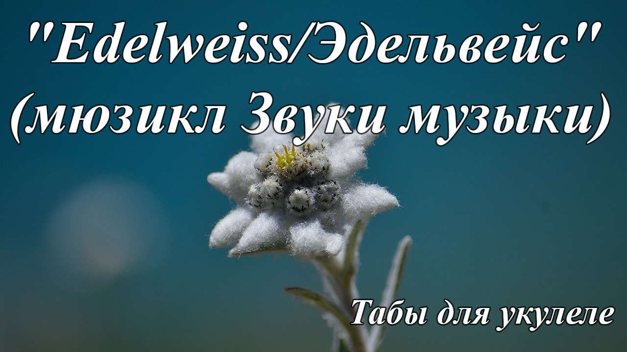 Песня про эдельвейс