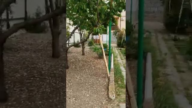 Продаю земельный участок в Геленджике смотреть онлайн