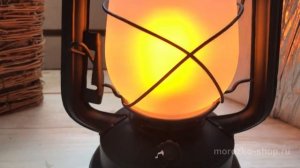 Фонарь ЛЕТУЧАЯ МЫШЬ, имитация пламени, 21 LED-огонь, 25 см, батарейки, таймер 483664