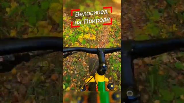 #velofatbike #bike #велосипед #fatbike #природа #фэтбайк #велоспорт #велопоход #велопутешествие