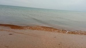 Отель Movenpick/ Дачи 2022