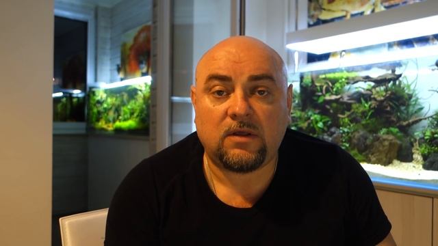 Аквариум. Результаты тестов 7 разных грунтов для Вабикус