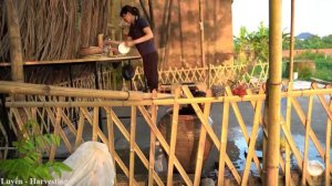 Harvest Purple Mango Tree, Make Mango Salad With Carrots Go to the market sell | Luyến - Harvesting