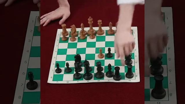 Задача которая ломает мозг! Что такое Гамбит. смотреть онлайн