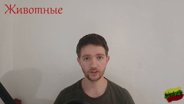 Прохождение границы в Литву смотреть онлайн