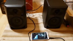 Pioneer DJ DM-40