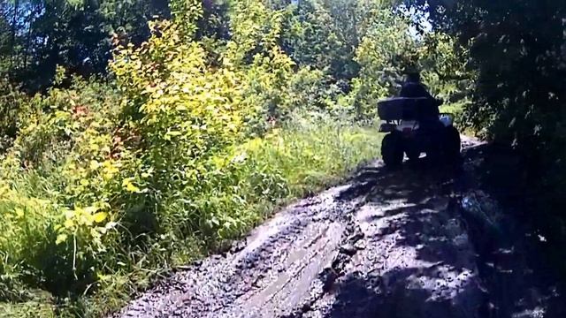 Заброшенный дом лесника в лесу смотреть онлайн