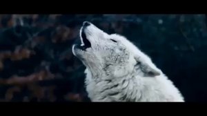 Чем хороша BMW?Лучший клип про Бмв #BMW